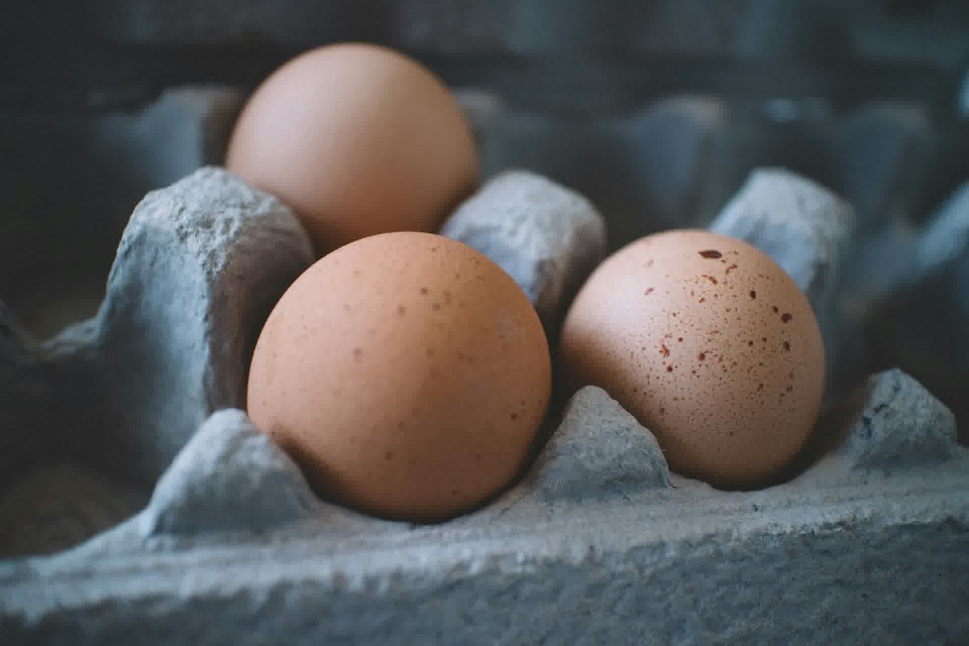 Protein Tozu Kilo Vermeyi Destekler mi? Bilimsel  Gerçekler ve Doğru Kullanım